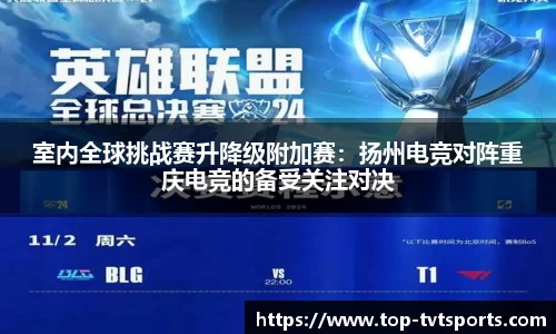 TVT体育平台