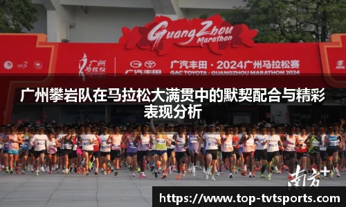 TVT体育官网