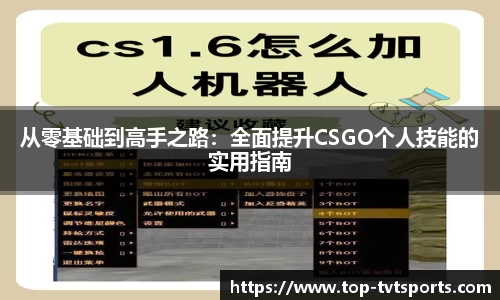 TVT体育