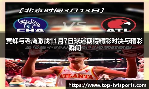 TVT体育官网